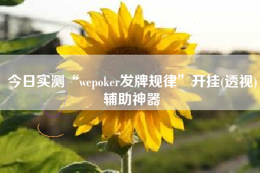 今日实测“wepoker发牌规律”开挂(透视)辅助神器