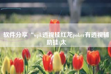 软件分享“wpk透视挂红龙poker有透视辅助挂(太
