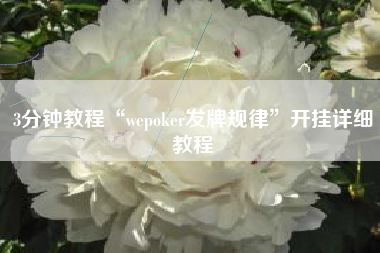 3分钟教程“wepoker发牌规律”开挂详细教程