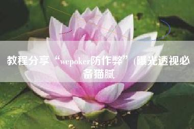 教程分享“wepoker防作弊”(曝光透视必备猫腻