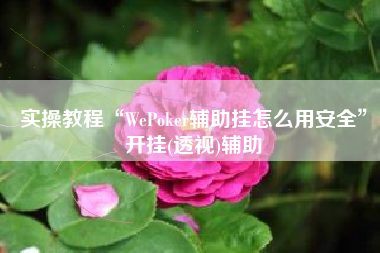 实操教程“WePoker辅助挂怎么用安全”开挂(透视)辅助