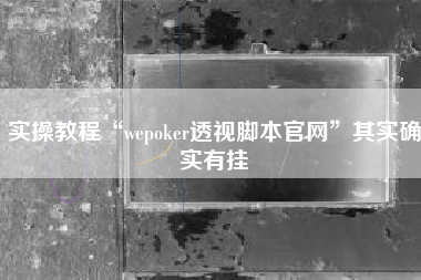 实操教程“wepoker透视脚本官网”其实确实有挂