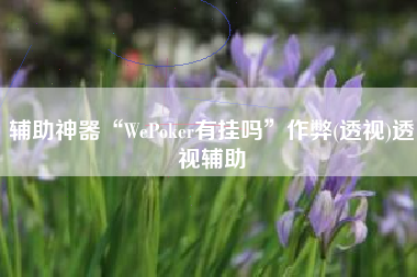 辅助神器“WePoker有挂吗	”作弊(透视)透视辅助