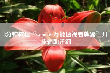 3分钟教程“wepoker万能透视看牌器”开挂辅助详细