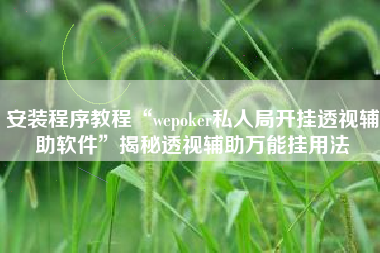 安装程序教程“wepoker私人局开挂透视辅助软件	”揭秘透视辅助万能挂用法