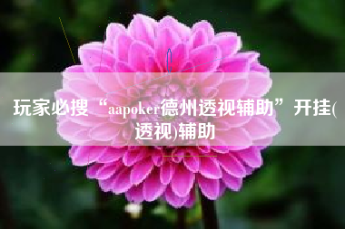 玩家必搜“aapoker德州透视辅助	”开挂(透视)辅助
