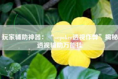玩家辅助神器：“wepoker透视作弊”揭秘透视辅助万能挂