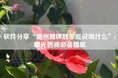 软件分享“德州摊牌胜率能说明什么”(曝光透视必备猫腻