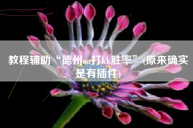 教程辅助“德州aa打kk胜率”(原来确实是有插件)