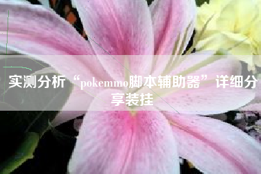 实测分析“pokemmo脚本辅助器”详细分享装挂