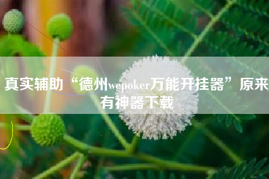 真实辅助“德州wepoker万能开挂器”原来有神器下载