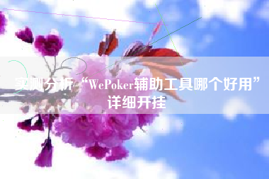 实测分析“WePoker辅助工具哪个好用	”详细开挂