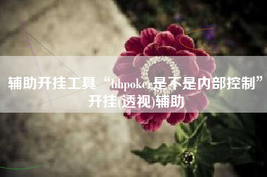 辅助开挂工具“hhpoker是不是内部控制”开挂(透视)辅助