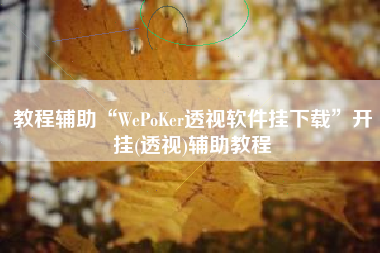 教程辅助“WePoKer透视软件挂下载	”开挂(透视)辅助教程