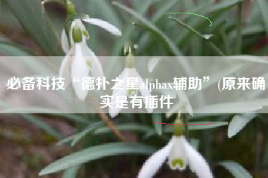 必备科技“德扑之星alphax辅助	”(原来确实是有插件