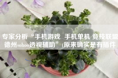 专家分析“手机游戏  手机单机 竞技联盟德州sohoo透视辅助”(原来确实是有插件