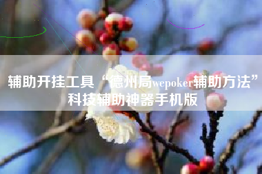 辅助开挂工具“德州局wepoker辅助方法”科技辅助神器手机版