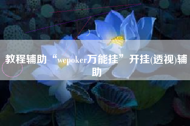 教程辅助“wepoker万能挂”开挂(透视)辅助