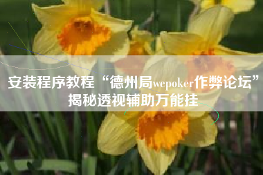 安装程序教程“德州局wepoker作弊论坛”揭秘透视辅助万能挂