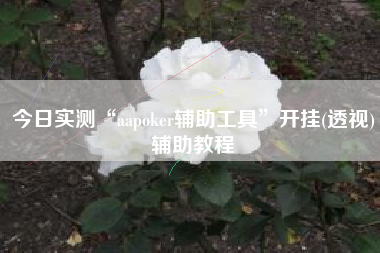 今日实测“aapoker辅助工具”开挂(透视)辅助教程