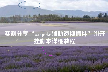 实测分享“waapoke辅助透视插件”附开挂脚本详细教程