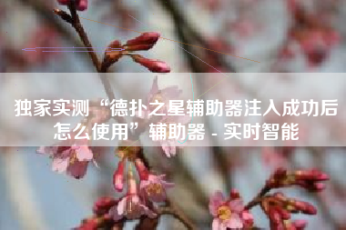 独家实测“德扑之星辅助器注入成功后怎么使用”辅助器 - 实时智能