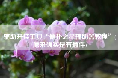 辅助开挂工具“德扑之星辅助器教程”(原来确实是有插件)