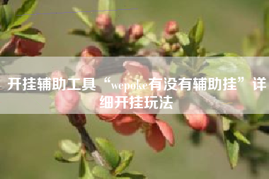 开挂辅助工具“wepoke有没有辅助挂”详细开挂玩法