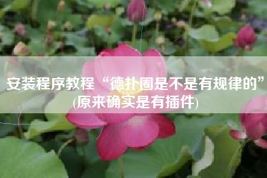 安装程序教程“德扑圈是不是有规律的”(原来确实是有插件) 安装程序教程“德扑圈是不是有规律的”(原来确实是有插件)