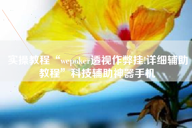 实操教程“wepoker透视作弊挂!详细辅助教程”科技辅助神器手机