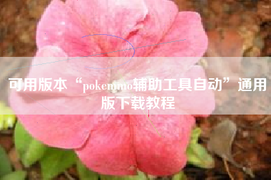 可用版本“pokemmo辅助工具自动	”通用版下载教程