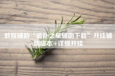 教程辅助“德扑之星辅助下载”开挂辅助脚本+详细开挂