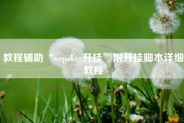 教程辅助“wepoker开挂	”附开挂脚本详细教程