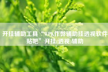 开挂辅助工具“WPK作弊辅助挂透视软件贴吧”开挂(透视)辅助