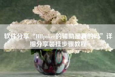 软件分享“HHpoker的辅助是真的吗”详细分享装挂步骤教程