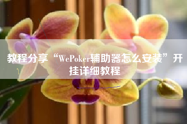 教程分享“WePoker辅助器怎么安装	”开挂详细教程