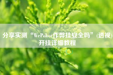 分享实测“WePoker作弊挂安全吗”(透视)开挂详细教程