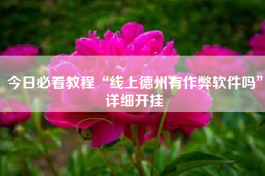 今日必看教程“线上德州有作弊软件吗	”详细开挂