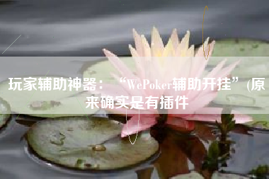 玩家辅助神器：“WePoker辅助开挂	”(原来确实是有插件