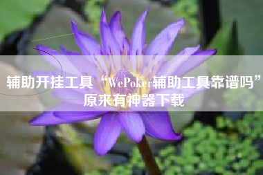 辅助开挂工具“WePoker辅助工具靠谱吗”原来有神器下载