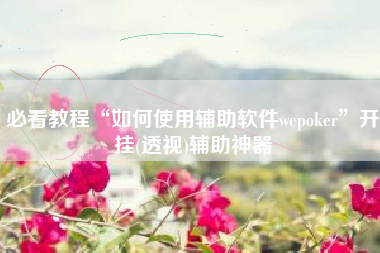 必看教程“如何使用辅助软件wepoker	”开挂(透视)辅助神器