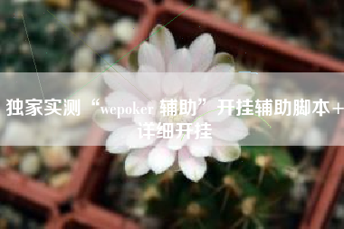 独家实测“wepoker 辅助	”开挂辅助脚本+详细开挂