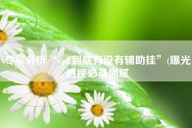 专家分析“wpk到底有没有辅助挂	”(曝光透视必备猫腻