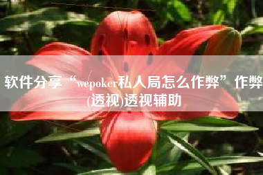 软件分享“wepoker私人局怎么作弊”作弊(透视)透视辅助