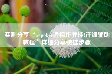 实测分享“wepoker透视作弊挂!详细辅助教程”详细分享装挂步骤