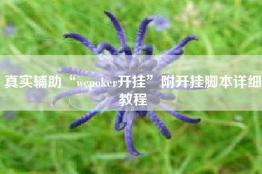 真实辅助“wepoker开挂”附开挂脚本详细教程