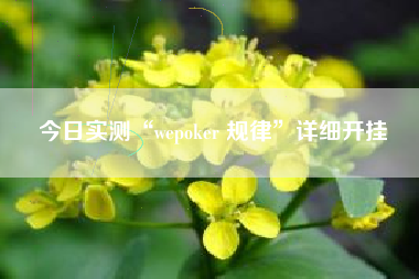 今日实测“wepoker 规律	”详细开挂