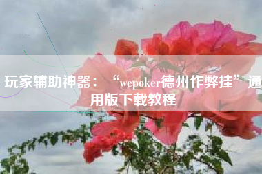 玩家辅助神器:“wepoker德州作弊挂”通用版下载教程 玩家辅助神器:“wepoker德州作弊挂”通用版下载教程