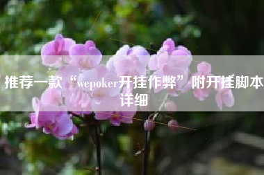 推荐一款“wepoker开挂作弊”附开挂脚本详细