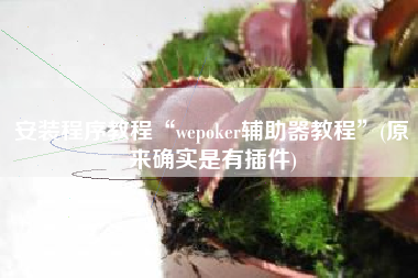 安装程序教程“wepoker辅助器教程”(原来确实是有插件)